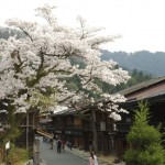 桜咲く