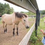 開田高原の木曽馬の里へ行く